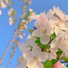 naime0302