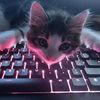pomaskakitty