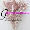 girlyaestheticbychu