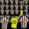 teddy_nufc5
