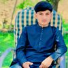 habib.mashal3