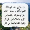 hamidchtat