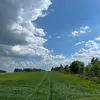 k.kornikk