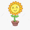 flowersun27_