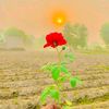 m.aqif.naul