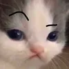 nam.h843