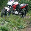 potas654