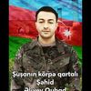nigar.qubat