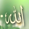 aoun.muhammad935