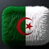 biskra592