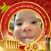 phong11313