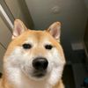 thelegooufitaccount