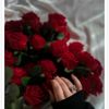 user8019757600636