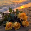 uou.25q