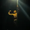 swedrik_