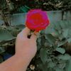 user322430268167