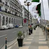 leilabenahmed66