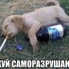 user37131006661961