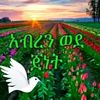user25078858198400