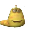 jims_whawha