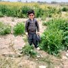 muhammad.sajjad.m702