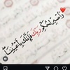 habiab.elashry