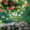 abd.alzubaidi8