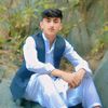 hassanjani8381