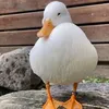 remi__124