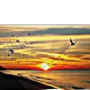 waseemalikhail6
