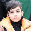 morteza639