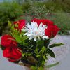 gameila_909