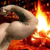 avaliador.biceps