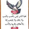 user2233732792552
