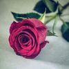 rahi.bycf