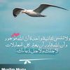 user48305091650378