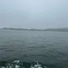 daikixzfihs
