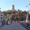 alialjud096