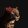 fatima.emad61