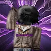 viucnemviuftf1