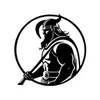vikingtesto.com