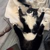 toebeannns