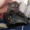 matias_19e