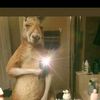 alex_xsk