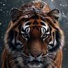 el_tigre_17.com