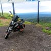 luis.2008r1