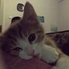 ksqisfi_3