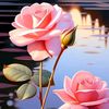 sajib1122334455566