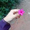 nazima__2