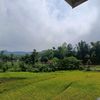 risna.ropiah